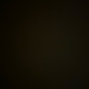 Meet your Posher, Hayley